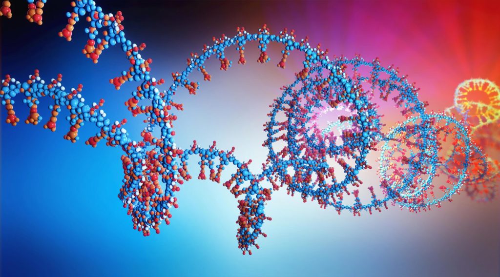 RNA Chain 3D Illustration Scaled 1 1024x568