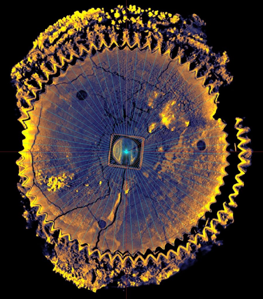 X Ray CT Of Gear In Fragment D 900x1024