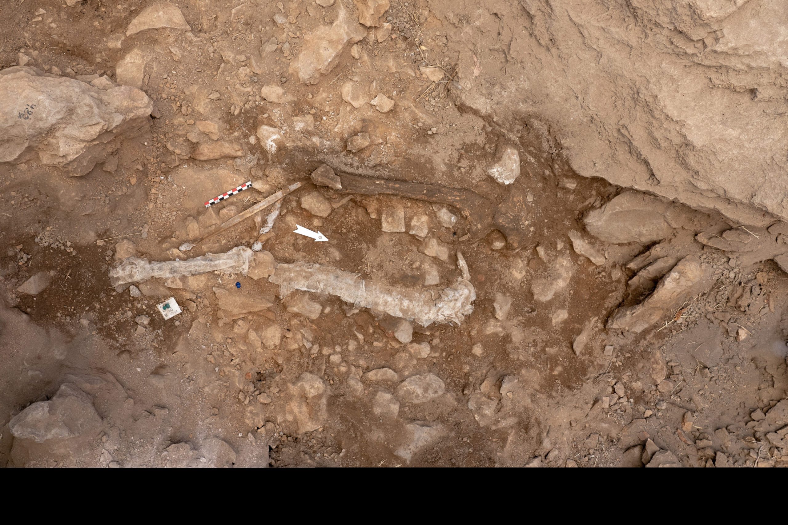 Upper Paleolithic Huma 1 Scaled