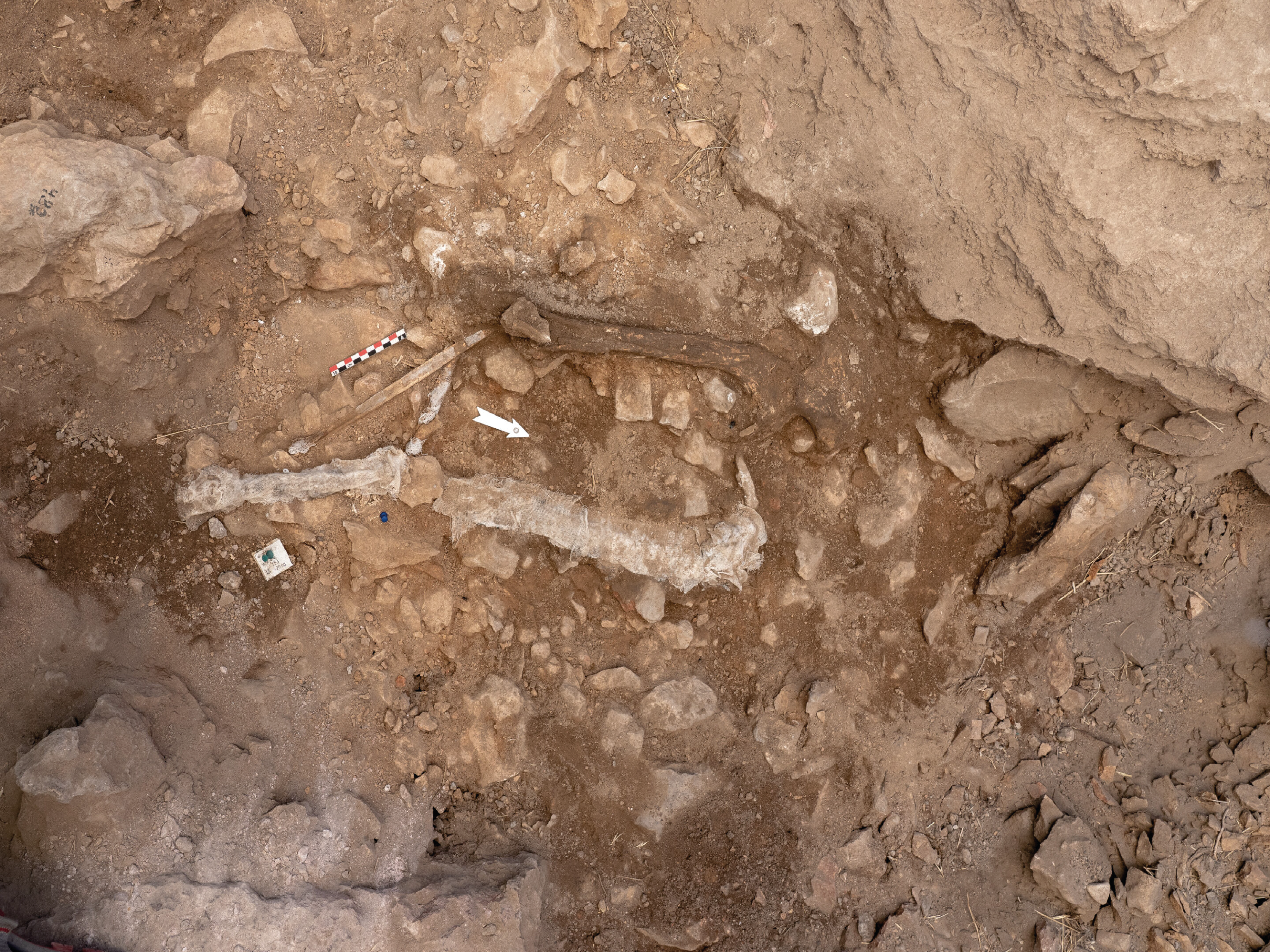Rare Upper Paleolithic Human Remains Found at the Cova Gran de Santa Linya Site