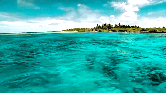 872033200amazing Ocean Carribean Water Gif