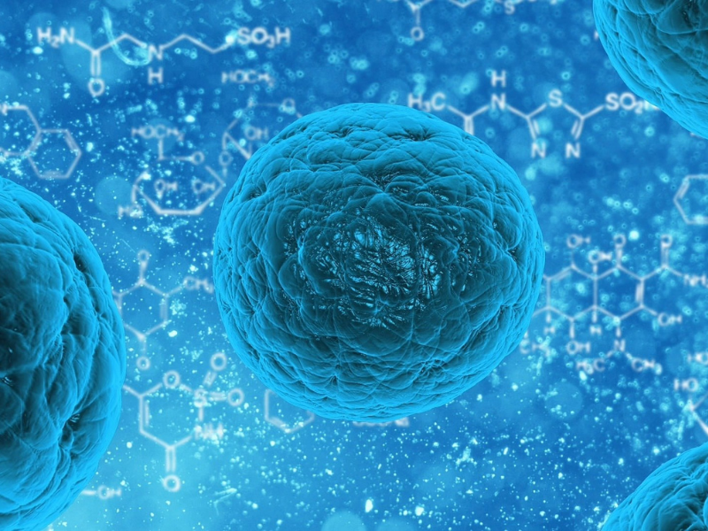 How do Cells Obtain Their Shapes? A new Mechanism Determined