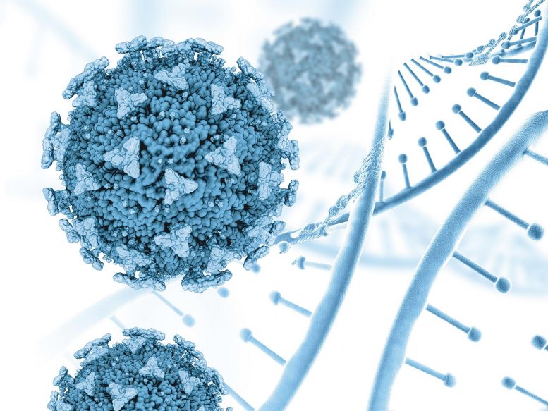 SARS CoV 2 Genetic Variants Concept 777x583 1