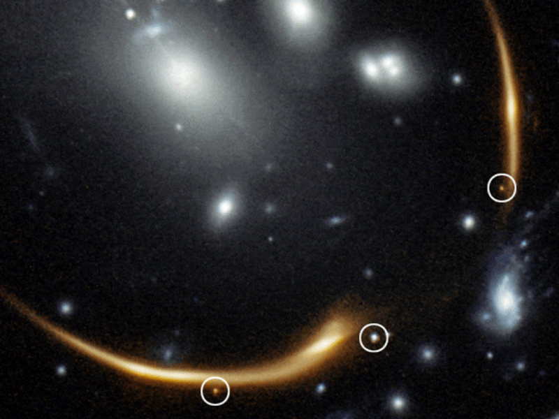 Supernova Requiem 2016