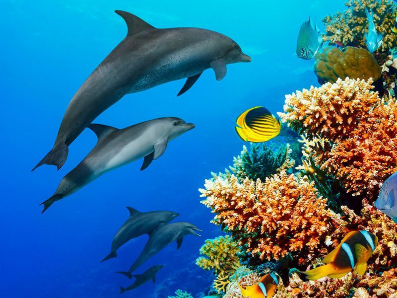 Design Sem Nome 2021 10 18T061755.401