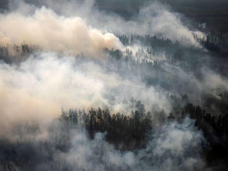 Design Sem Nome 2021 10 23T001749.046