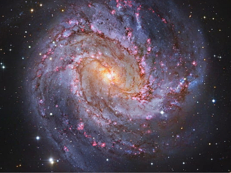 Exploring Quantum Systems That Don’t Find Equilibrium