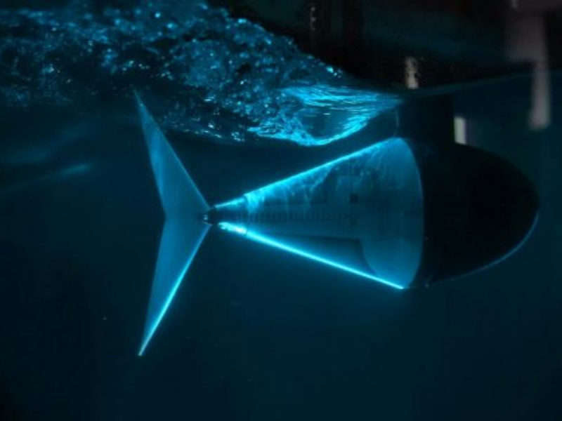 Secrets of Highly Efficient Swimming Uncovered for Design of Next-Generation Underwater Drones