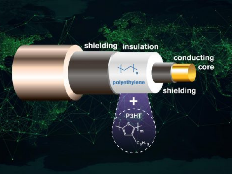 Design Sem Nome 2021 11 09T101244.792