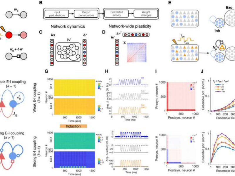 Fazer A Publicacao Dos Artigos Do Draft 3