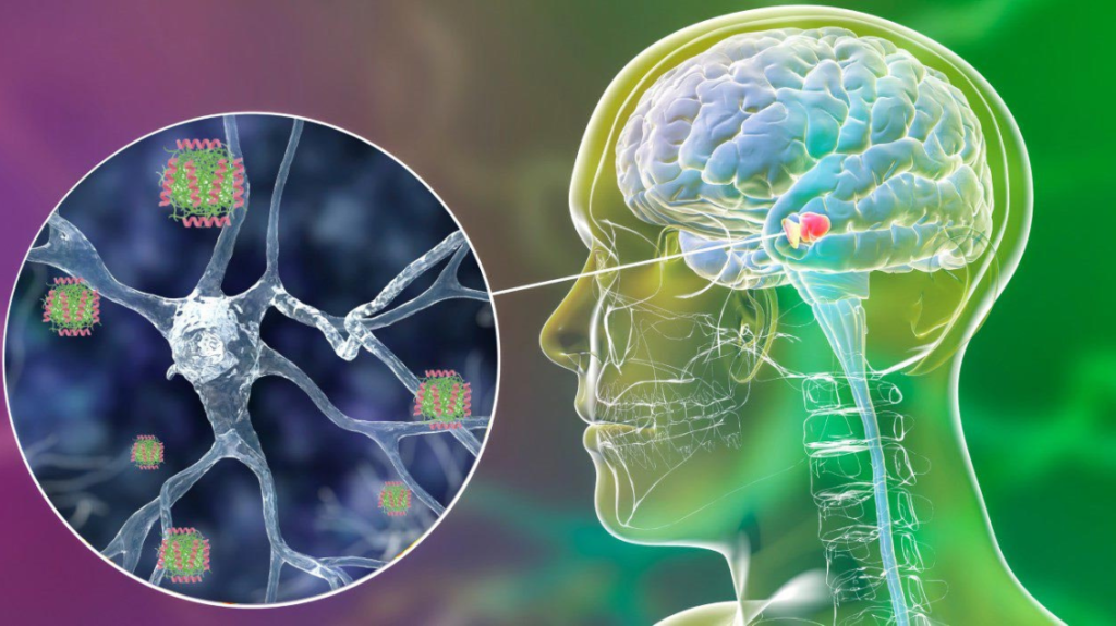 Untitled Design 1024x575