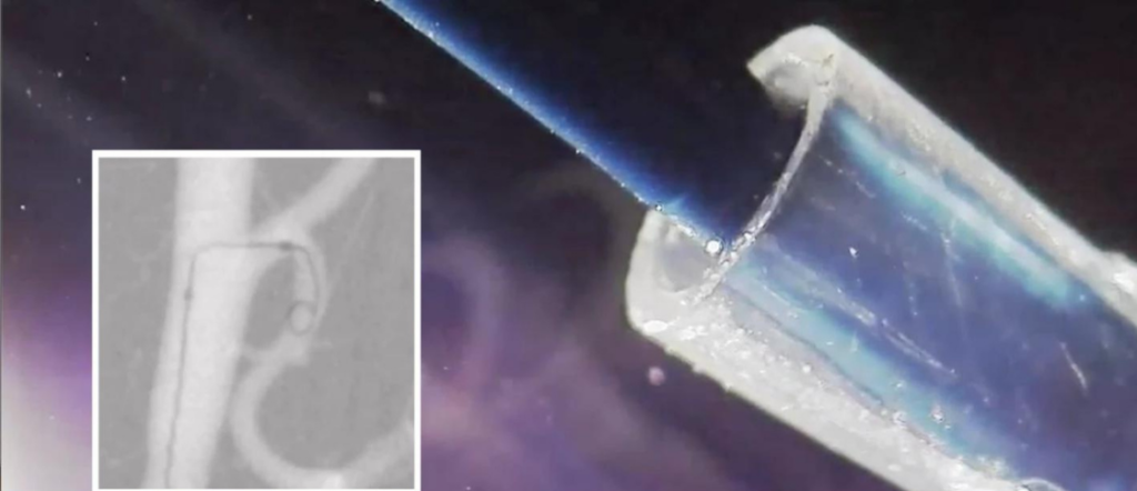 Untitled Design6 1024x442