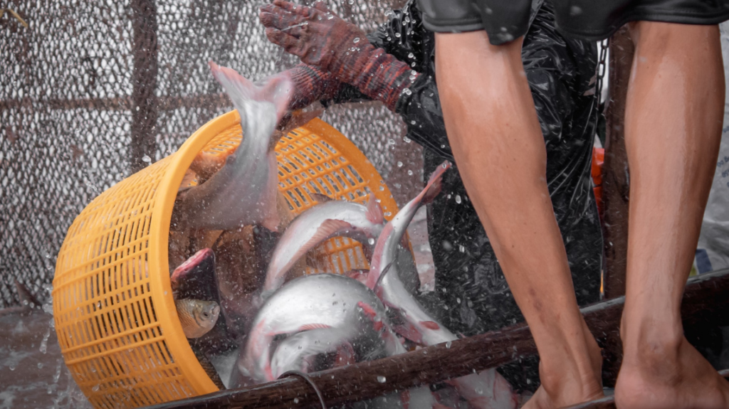 Untitled Design8 1024x575