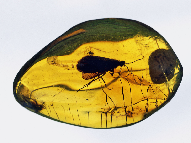 Fazer A Publicacao Dos Artigos Do Draft 22