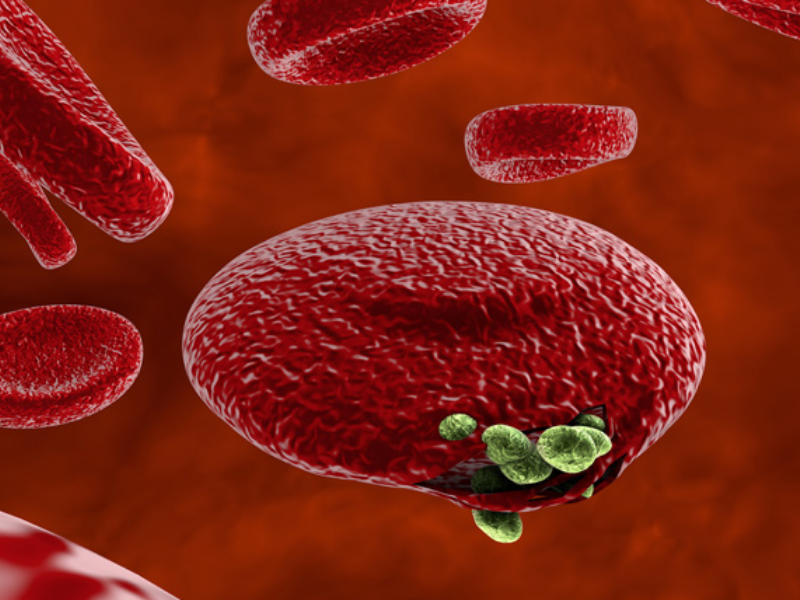 Fazer A Publicacao Dos Artigos Do Draft 5 3