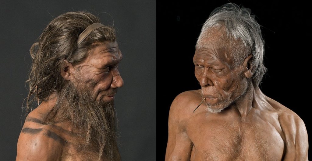  homo sapiens and Neanderthals