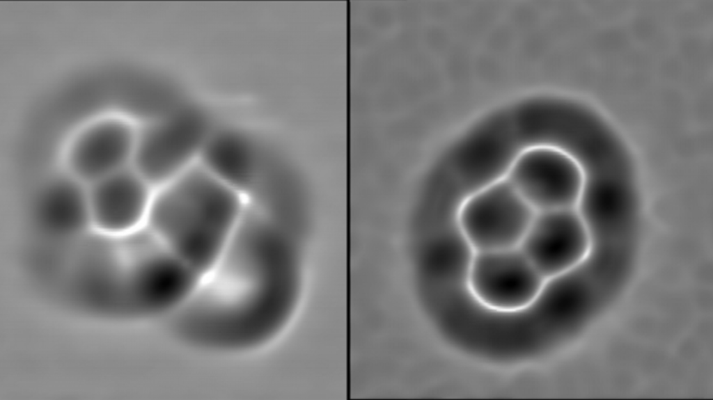 This image represents small molecules obtained from Atomic Force Microscopy of a meteorite. On left, propylnaphthalene, on right, pyrene.
