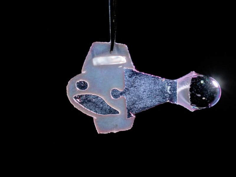 Autonomous Fish 800x600 1