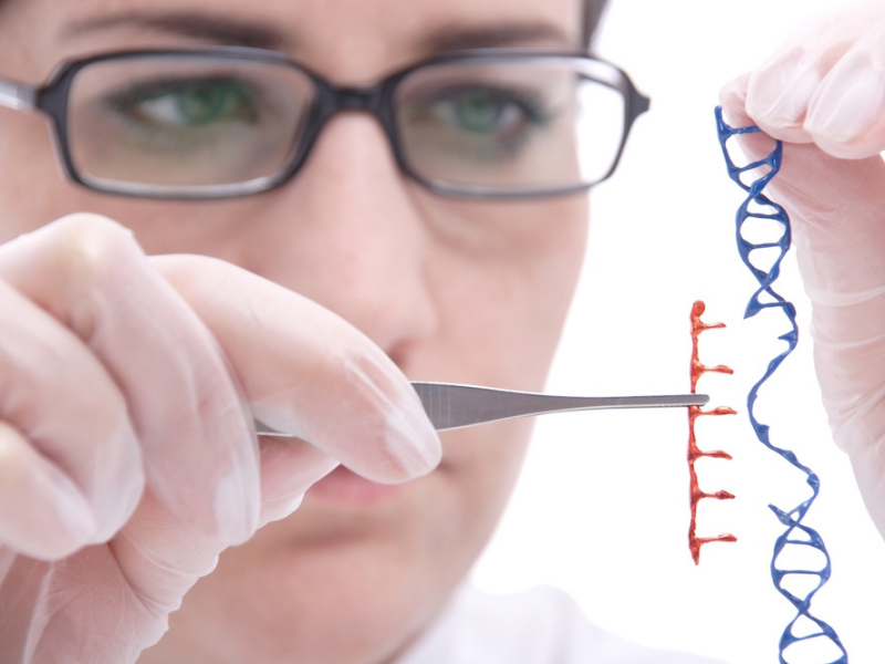 Genome Study Finds Unexpected Variation in a Fundamental RNA Gene