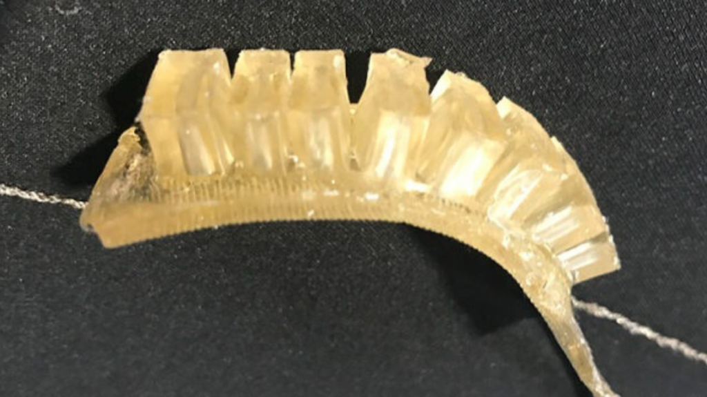 Robotic Jelly 1140x640 1 1024x575