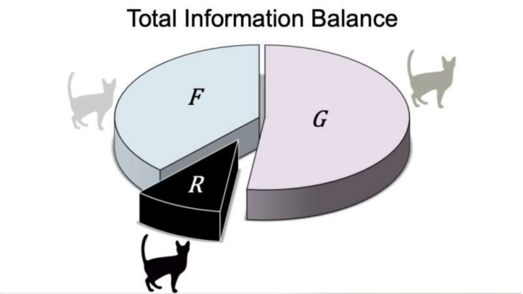 Image showing the information trade-off relation simultaneously encompassing all information contents in quantum measurements.