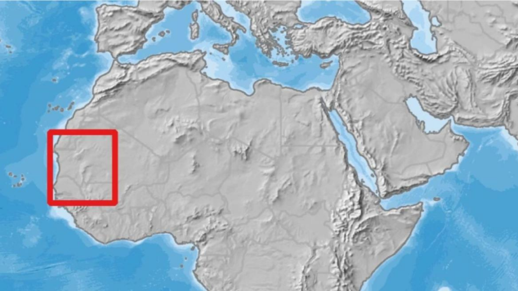 Representation of the area that was studied.