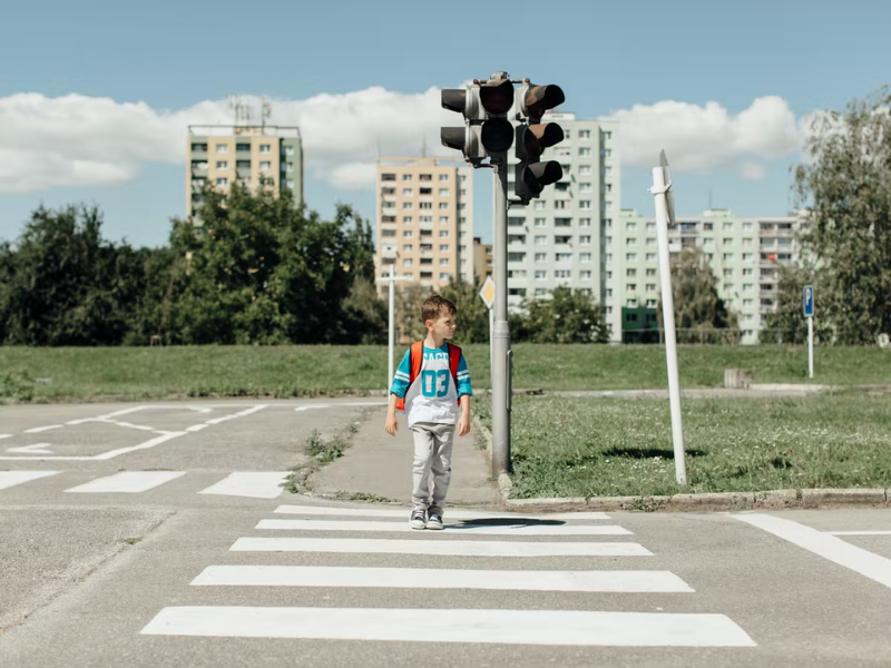 Fazer A Publicacao Dos Artigos Do Draft 18