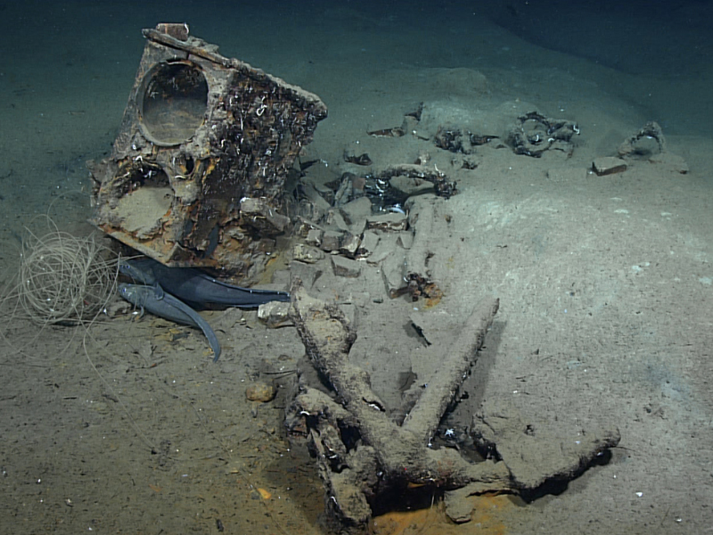 Fazer A Publicacao Dos Artigos Do Draft 19