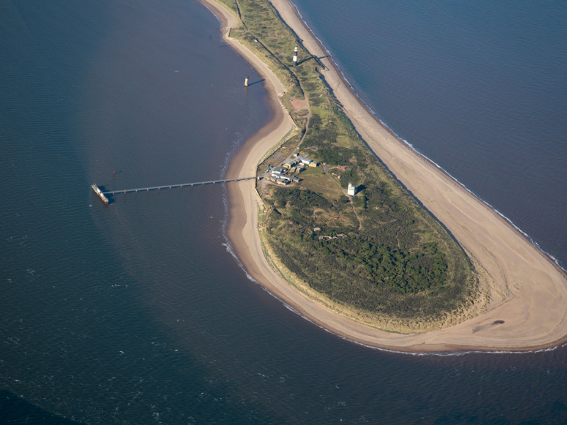 Fazer A Publicacao Dos Artigos Do Draft 20