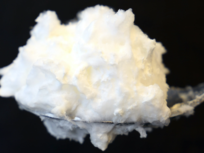 Fungus Egg White 800x600 1