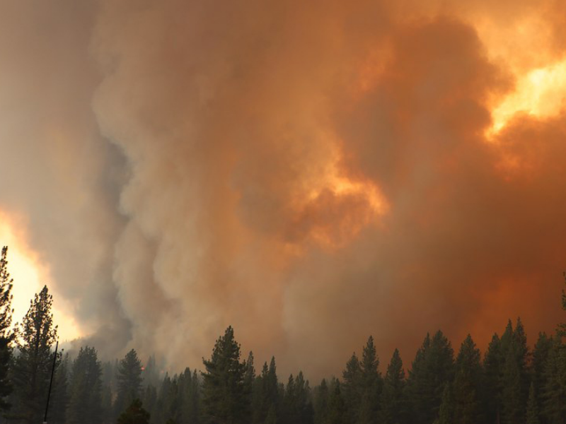 Fazer A Publicacao Dos Artigos Do Draft 30