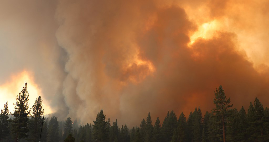 Western Wildfire