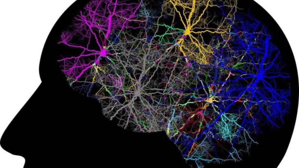 Design Sem Nome 1 4 1024x575