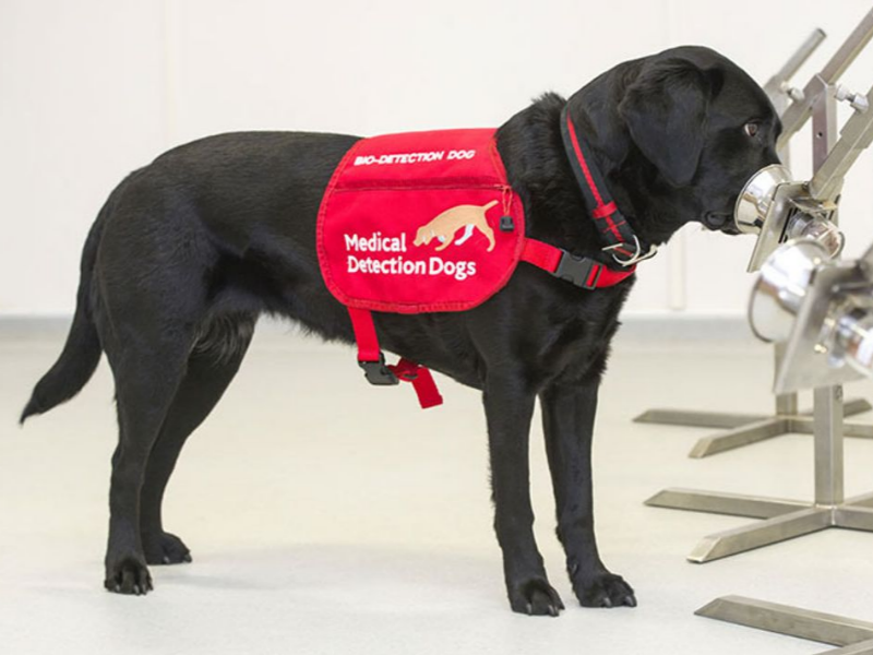 Design Sem Nome 11 1