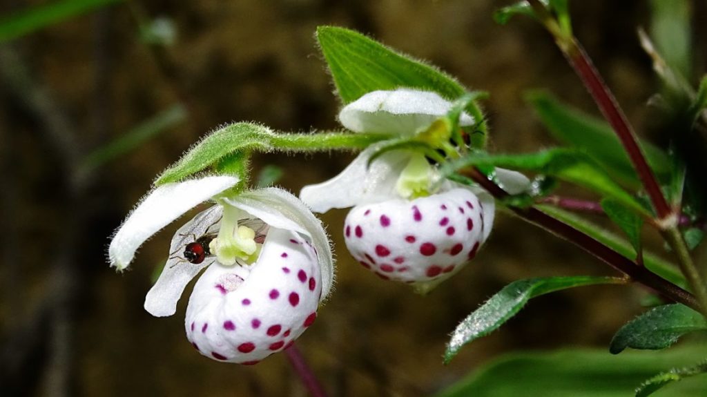 Design Sem Nome 2 1024x575