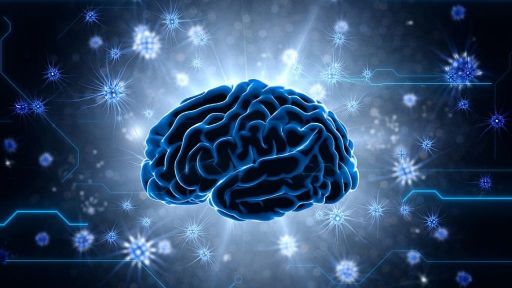 Illustration of the brain