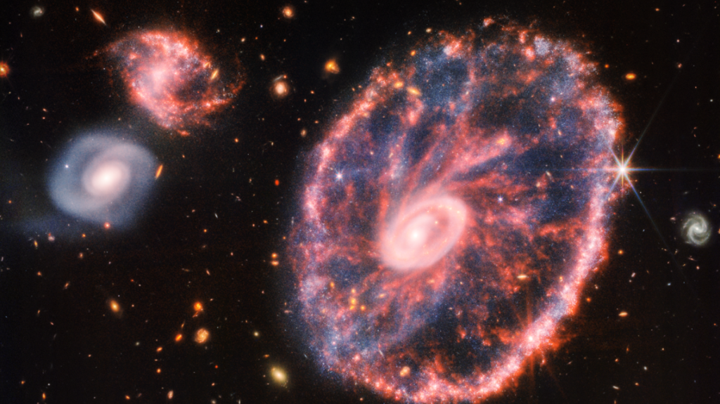 Image of the Cartwheel Galaxy and its companion galaxies taken by the James Webb space telescope.