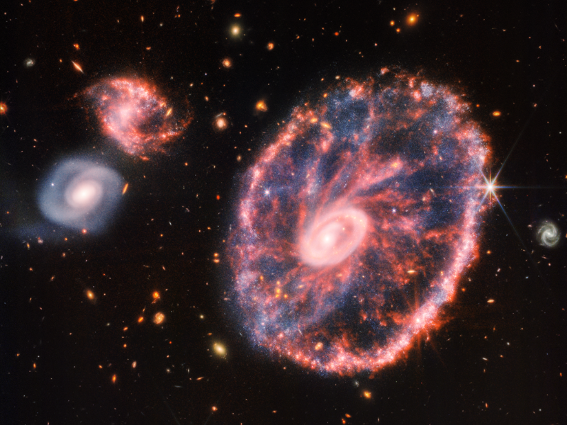 James Webb Captures New Images of the Cartwheel Galaxy
