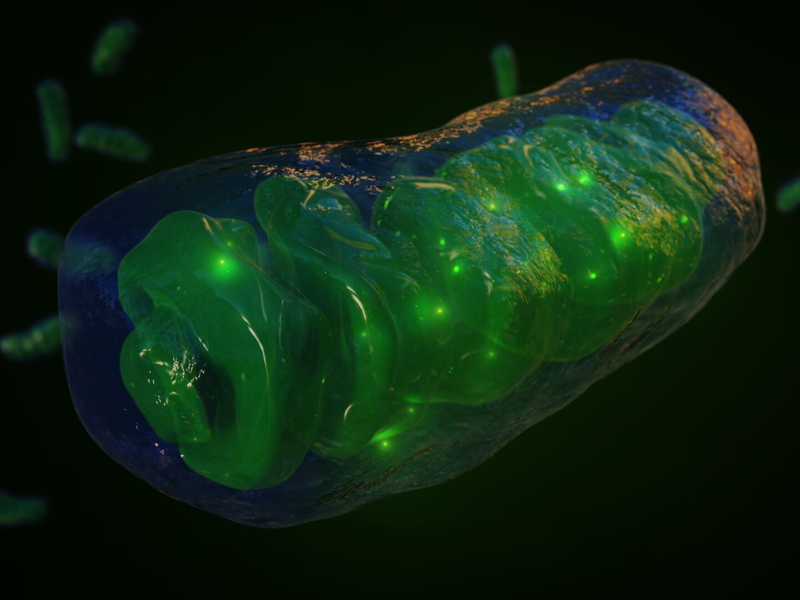 Design Sem Nome 2022 08 21T203240.881