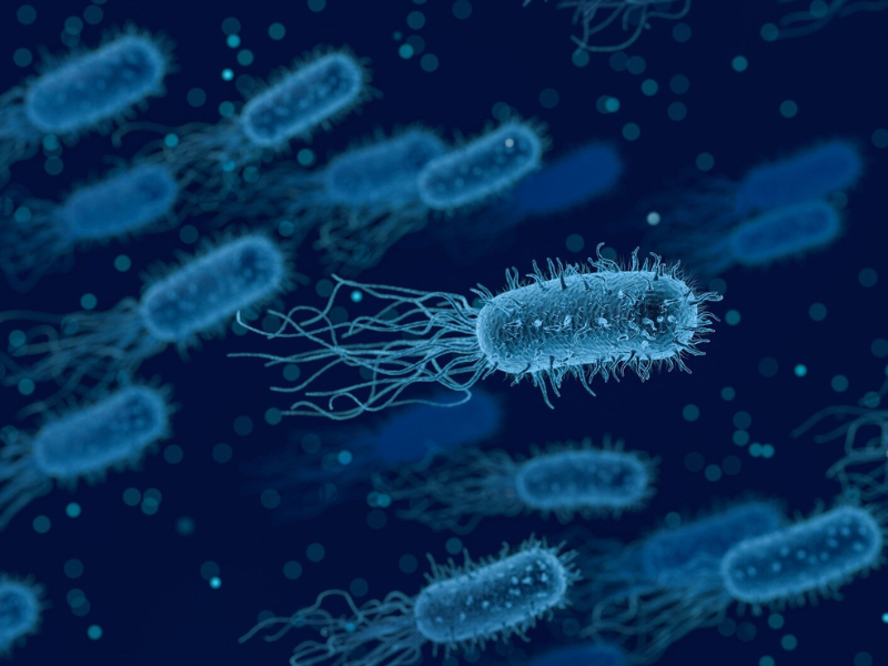 Wave Energy Can Provide Utility Scale Power Production And Works Very Well ... Of Ocean And Sea Waves And Use It To Create Energy – Usually Electricity. 16