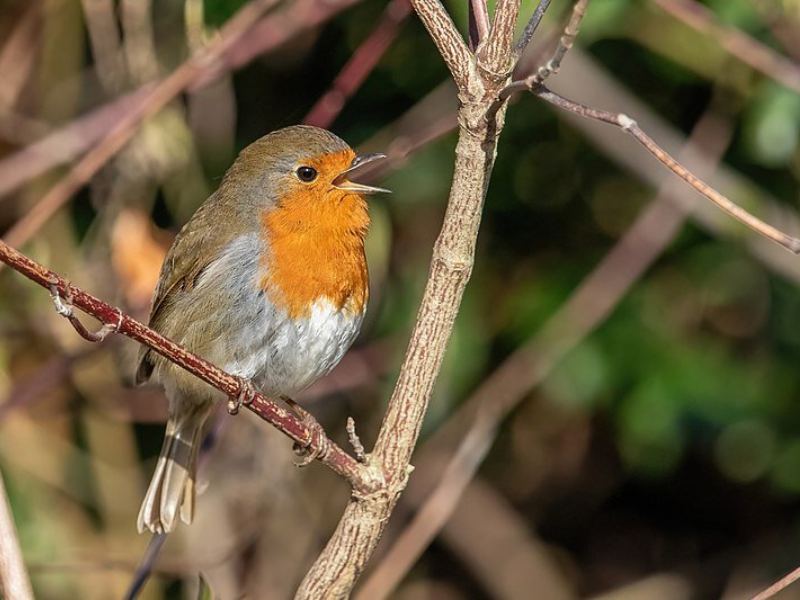 Wave Energy Can Provide Utility Scale Power Production And Works Very Well ... Of Ocean And Sea Waves And Use It To Create Energy – Usually Electricity. 35