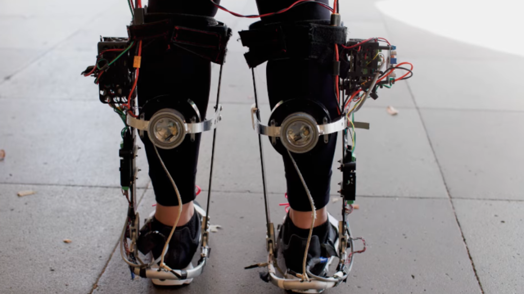 A close-up of Stanford University