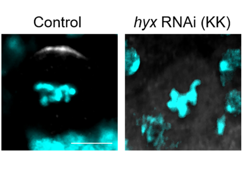 Wave Energy Can Provide Utility Scale Power Production And Works Very Well ... Of Ocean And Sea Waves And Use It To Create Energy – Usually Electricity. 60