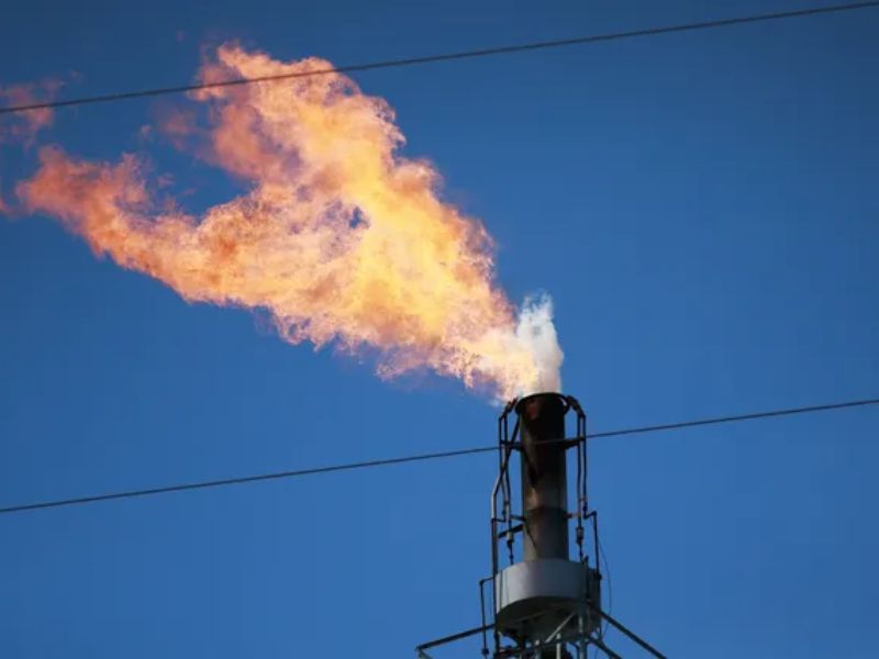 Design Sem Nome 2022 11 17T171224.425