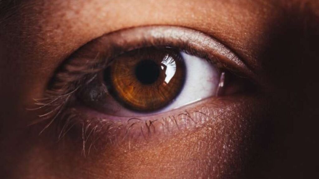 Design Sem Nome 2022 11 29T182331.866 1024x575