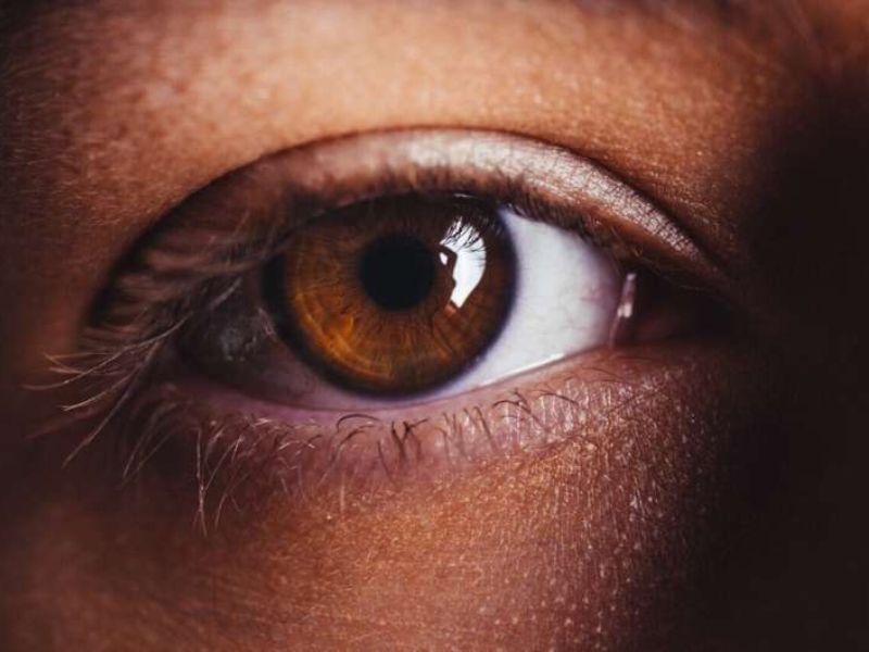 Design Sem Nome 2022 11 29T183444.373