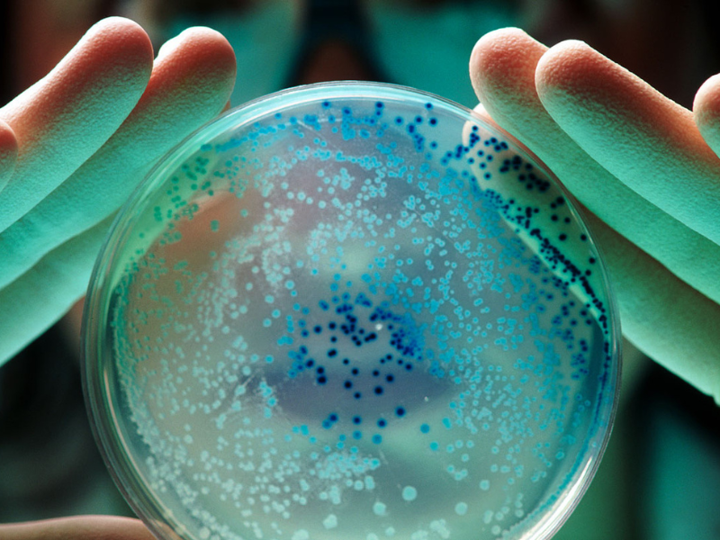 Super Bacteria 800x600 1