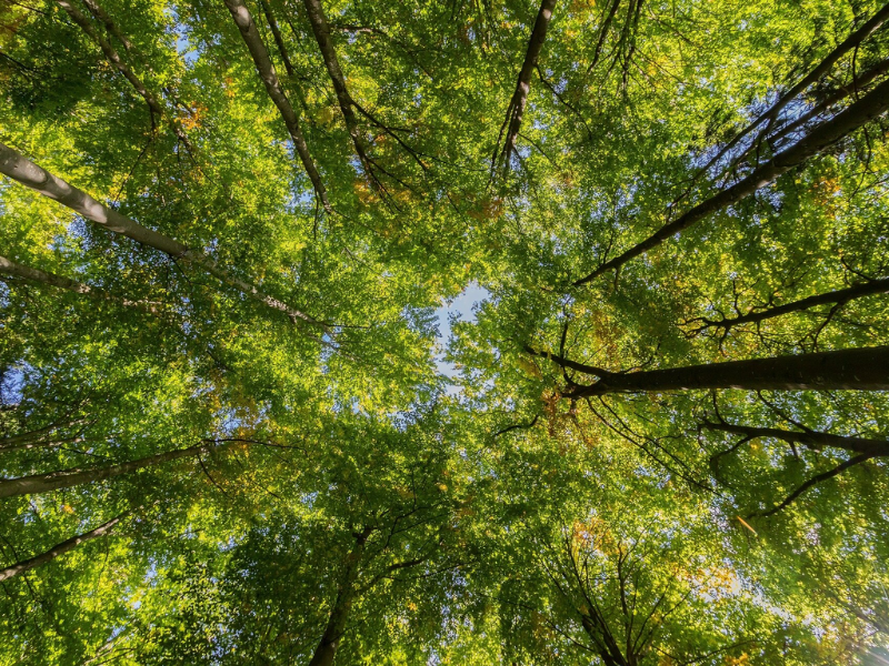 Wave Energy Can Provide Utility Scale Power Production And Works Very Well ... Of Ocean And Sea Waves And Use It To Create Energy – Usually Electricity. 71