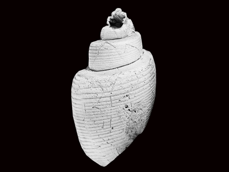 Wave Energy Can Provide Utility Scale Power Production And Works Very Well ... Of Ocean And Sea Waves And Use It To Create Energy – Usually Electricity. 72