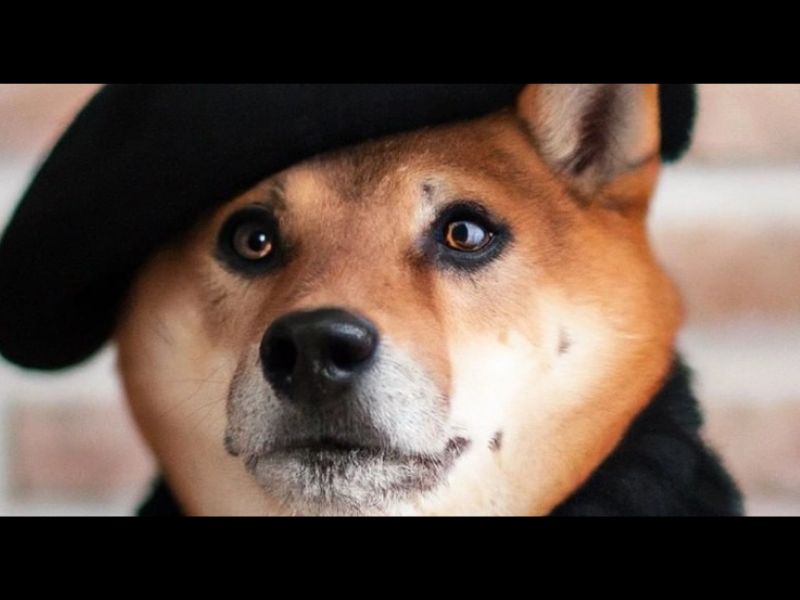 The Genius Method That Made OpenAI The Hottest Startup in Tech